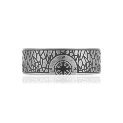 Bague acier.