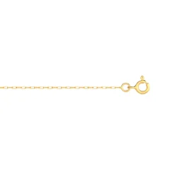 Chaîne or 750 jaune maille forçat 40 cm