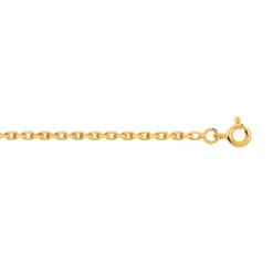 Chaîne or 750 jaune maille forçat 45 cm