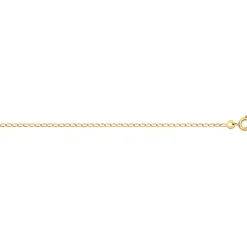 Collier plaqué or maille cheval 55 cm