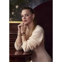 Montre CLUSE Gracieuse Petite femme cadran marron bracelet cuir doré