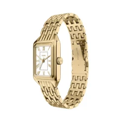 Montre FOSSIL raquel femme bracelet acier inoxydable doré
